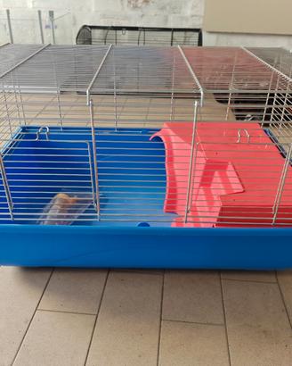 Gabbia per animali