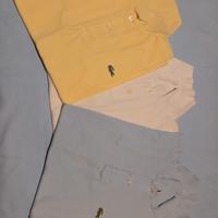 Polo Lacoste