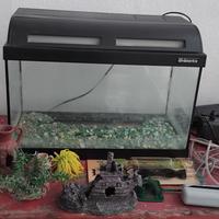 acquario