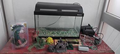acquario