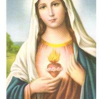 Santino - Sacro Cuore di Maria.246