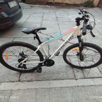 bicicletta Mountain bike 