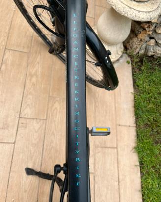 Ebike lombardo