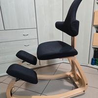 Sedia ergonomica 