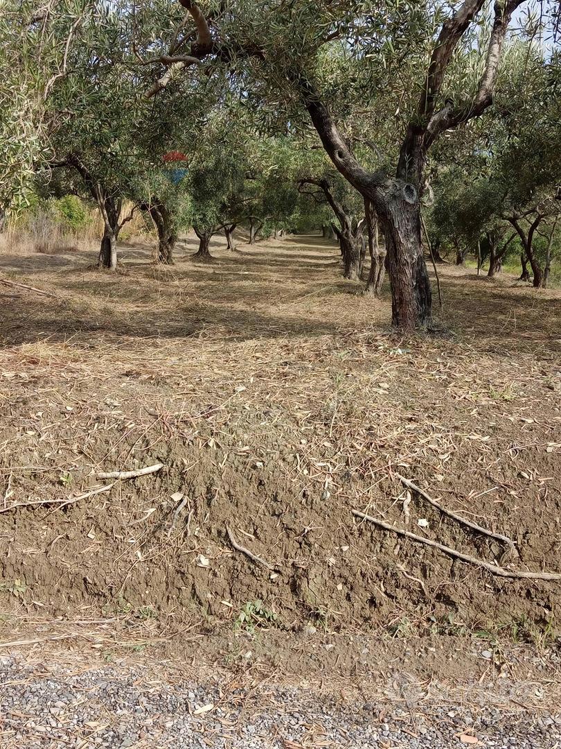 Terreno - Barcellona Pozzo di Gotto - Vista 3