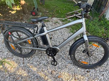 Bici Cargo Benno Boost