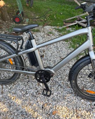 Bici Cargo Benno Boost