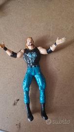 5287-wrestling di Diamond Dallas Page (DDP