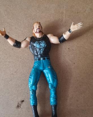 5287-wrestling di Diamond Dallas Page (DDP