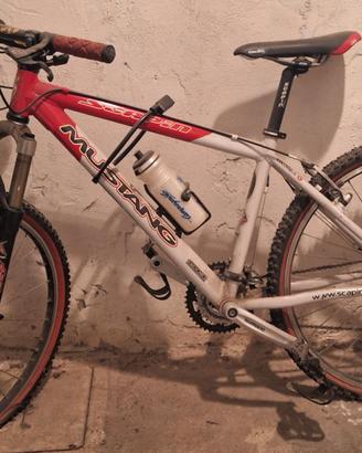 Mountain bike MTB