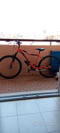 BICICLETTA CASADEI VORTEX