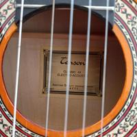 Chitarra classica