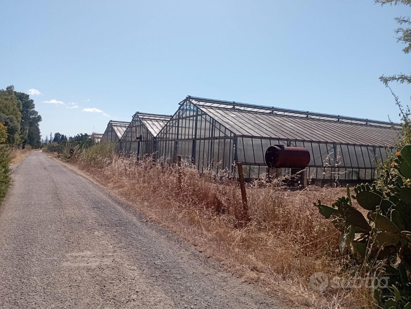 Serre + terreno agricolo - Vista 5
