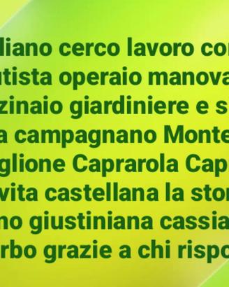 lavoro operaio benzinaio manovale autista 