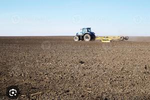 Terreno agricolo 1 ettaro