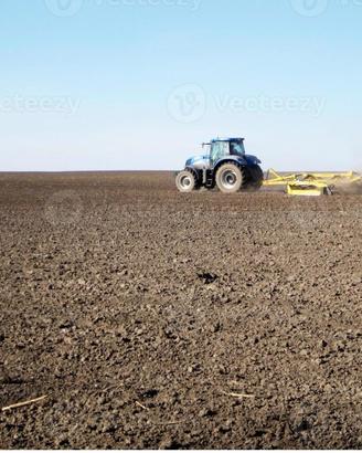 Terreno agricolo 1 ettaro