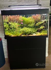 Acquario