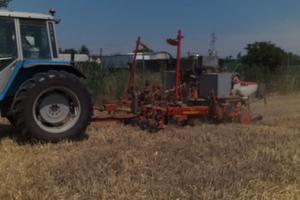 no till