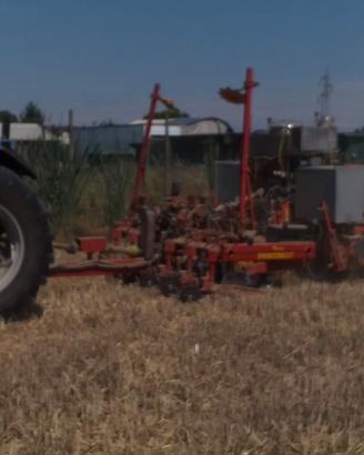 no till