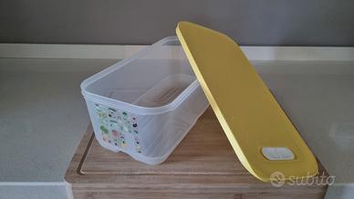 CONTENITORE TUPPERWARE ClimateOasisVentsmart l.6,1