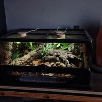 terrario teca rettili exo terra allestito
