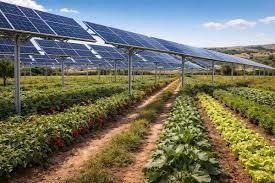 20 ettari terreno agricolo in DDS x agrivoltaico