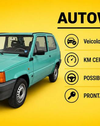FIAT Panda 1ª serie 1100 i.e. cat Young