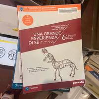 Testi scolastici superiori lettere