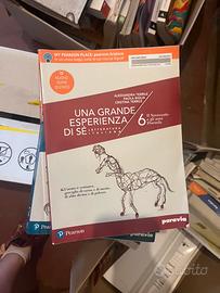 Testi scolastici superiori lettere