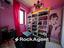 Immagine 12