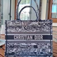 Dior Book Tote