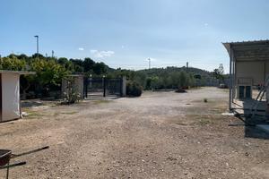 Terreno Vieste (Foggia)