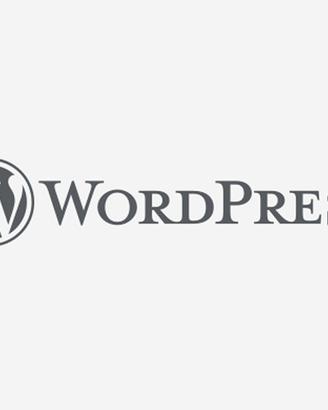 Web Designer / WordPress / Figma