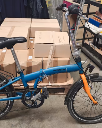 bici pieghevole 