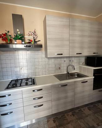 Cucina lineare Modello STELLA Eucalipto Bianco