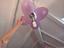 Immagine 5