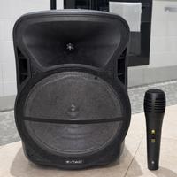 Cassa Bluetooth 15” V-TAC VT-6315 con led