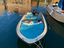 Immagine 3