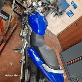 honda hornet