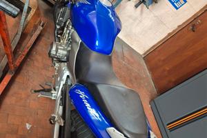honda hornet