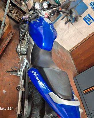 honda hornet
