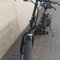 Bicicletta elettrica
