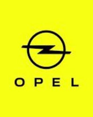 Opel Meriva OPEL MERIVA 338 7575187 MASSA...