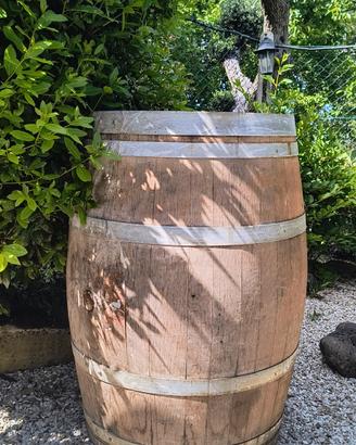 Botte vino in rovere