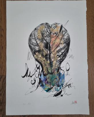 Calcografia stampa botanica firmata originale