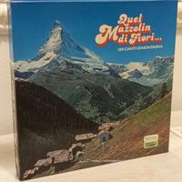 Dischi in vinile unici da collezione