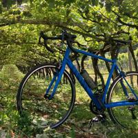 Bicicletta Canyon Endurace 6 RB