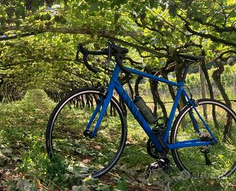 Bicicletta Canyon Endurace 6 RB