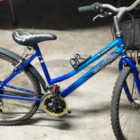 bici bicicletta unisex MTB cicli Parma 