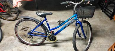 bici bicicletta unisex MTB cicli Parma 